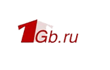 1Gb logo